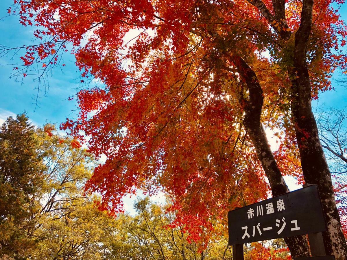 赤川温泉スパージュ-Spaju Taketa Exteriér fotografie